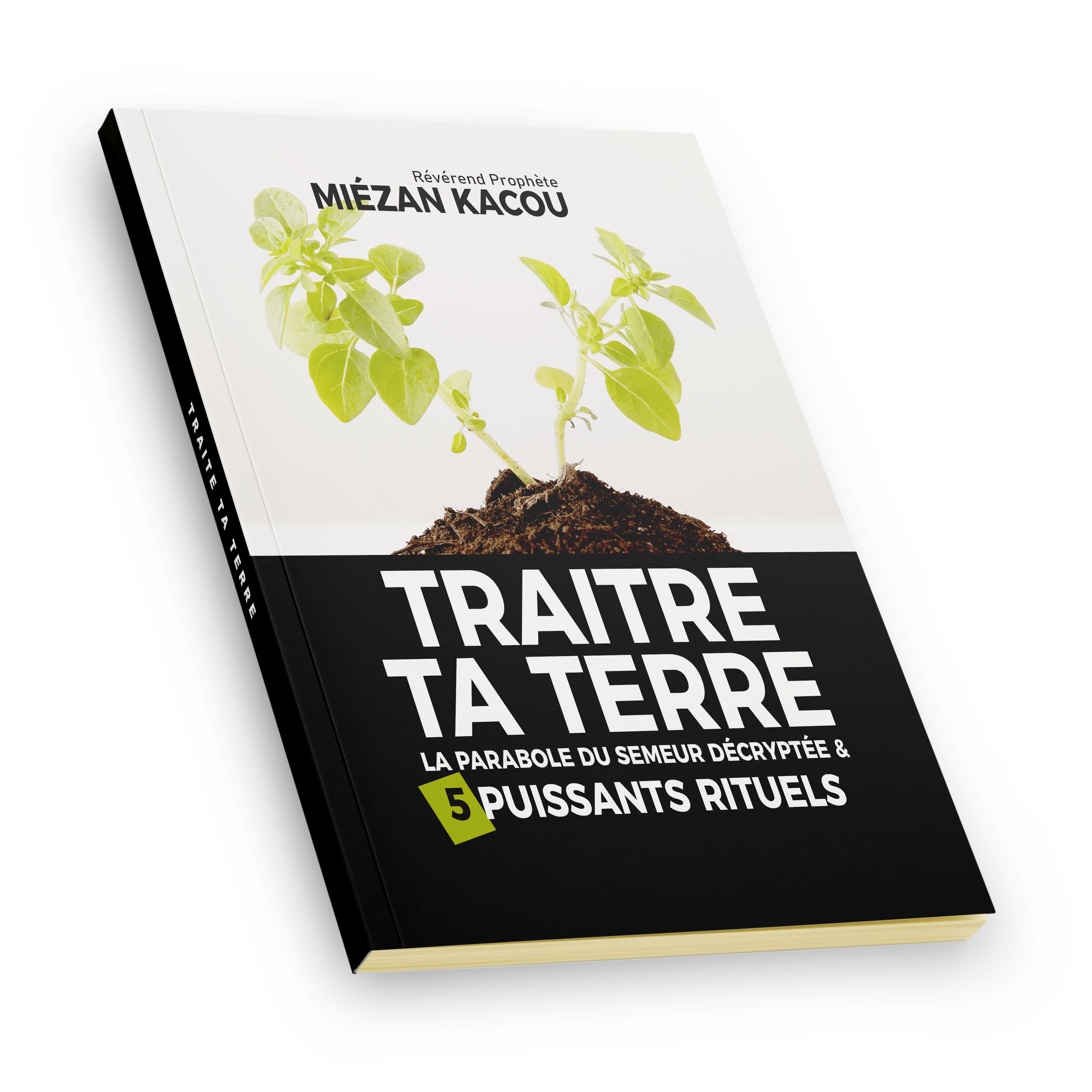 Traite ta terre avec cinq puissants rituels
